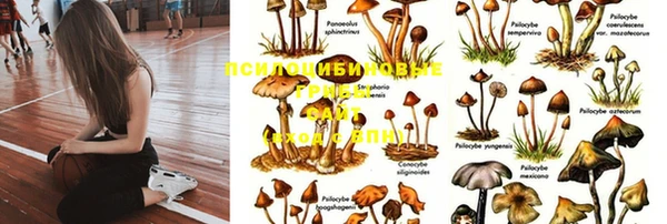 дурь Алексин