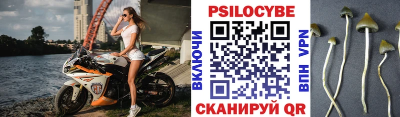 Галлюциногенные грибы прущие грибы  Удомля 